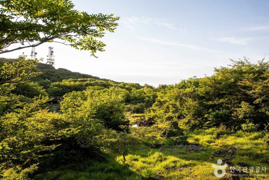 1100고지습지 여행 추천 - 로드트립