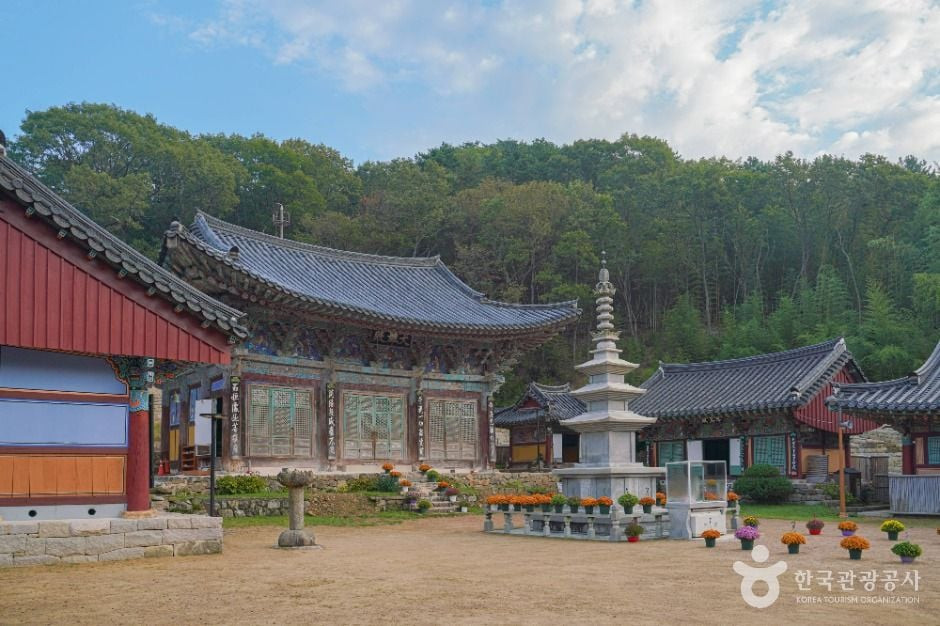 장안사(부산) 여행 추천 - 로드트립