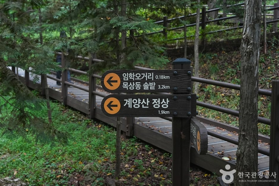 계양산 여행 추천 - 로드트립