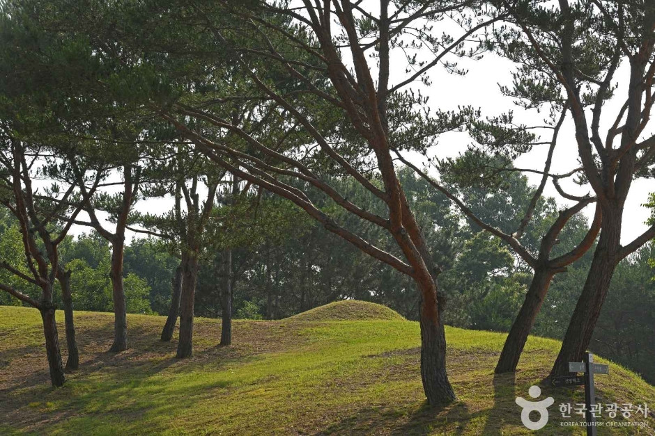 부여 능안골 고분군 여행 추천 - 로드트립