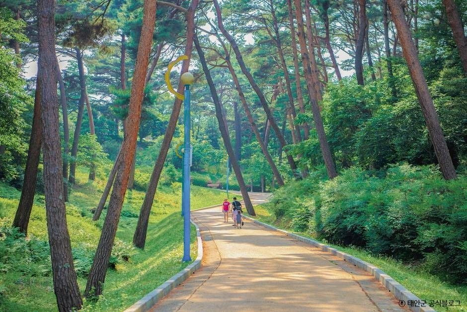 안면도수목원 여행 추천 - 로드트립