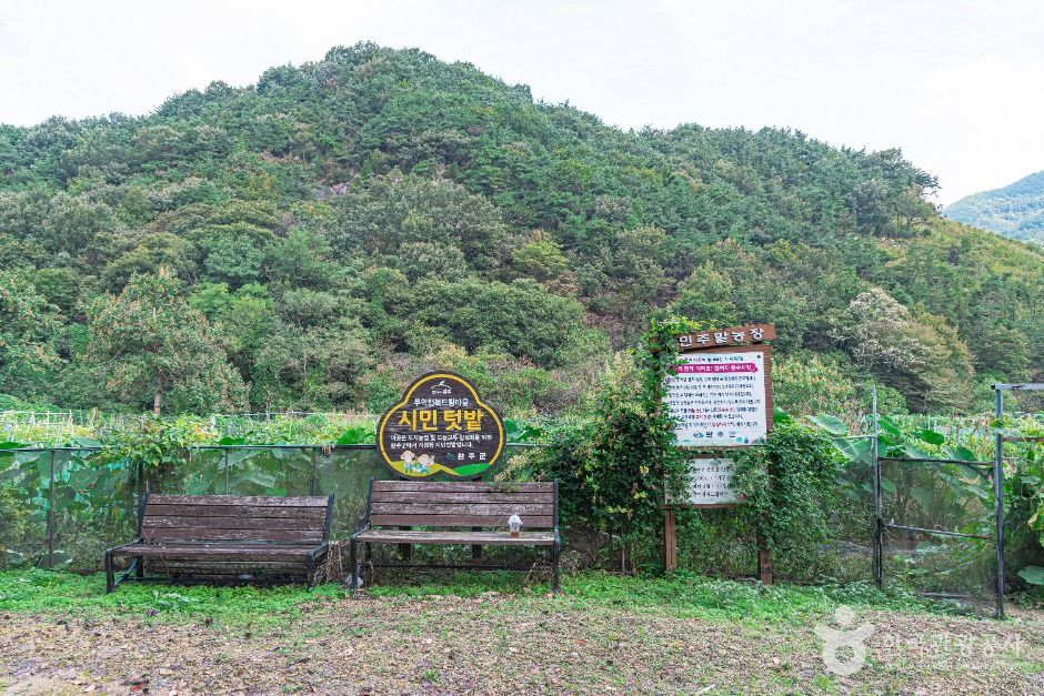 두억행복드림마을 여행 추천 - 로드트립