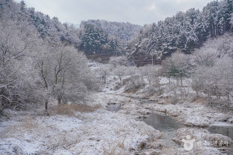 명달리계곡 여행 추천 - 로드트립