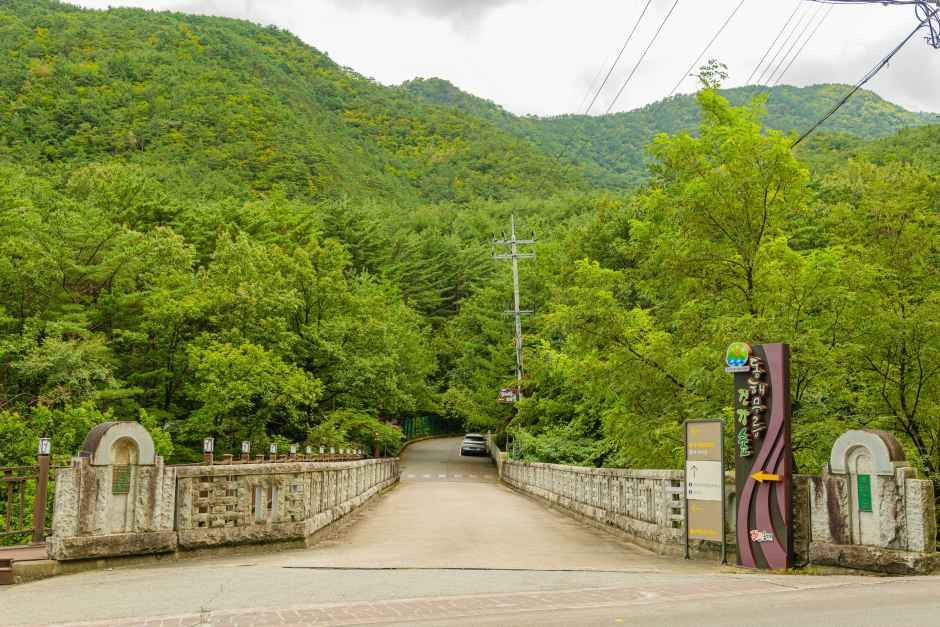 동해무릉건강숲 여행 추천 - 로드트립