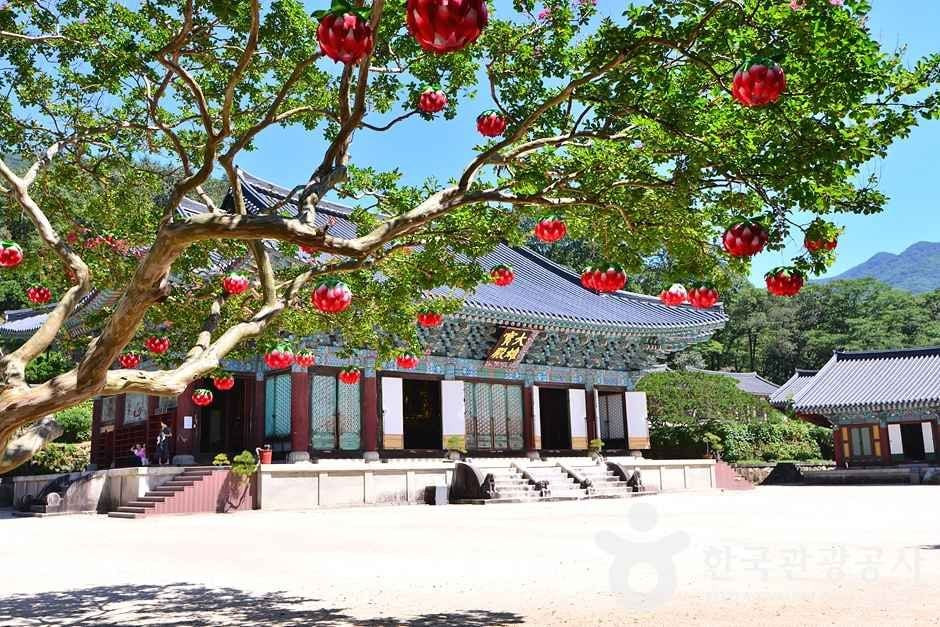 조계산도립공원 여행 추천 - 로드트립