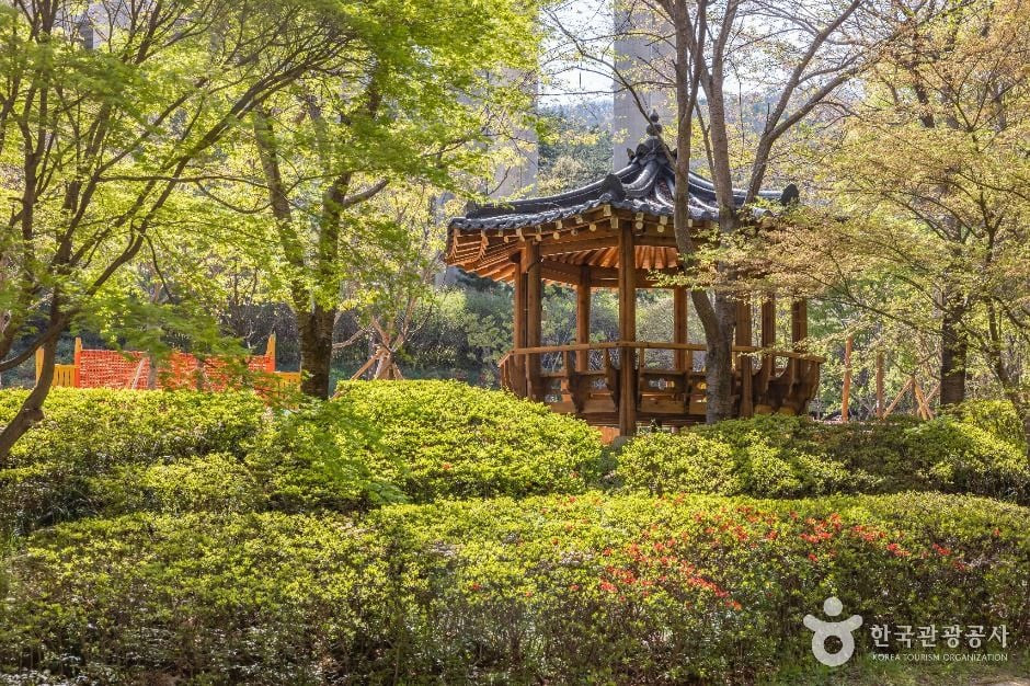 용소웰빙공원 여행 추천 - 로드트립