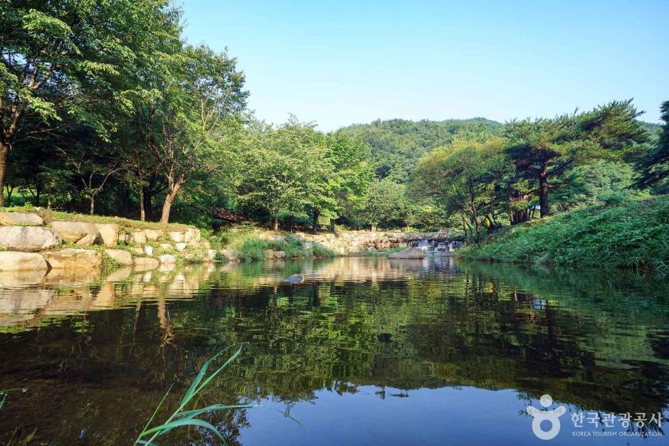 옥천계곡 여행 추천 - 로드트립
