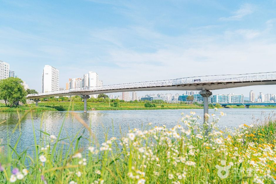 왕숙천시민공원 여행 추천 - 로드트립