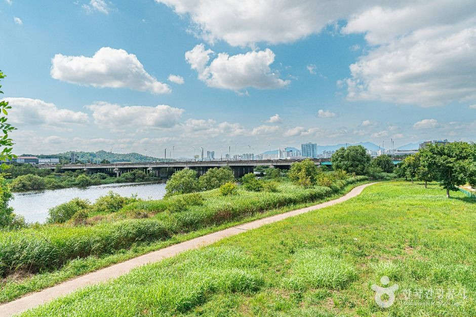 산동교친수공원 여행 추천 - 로드트립