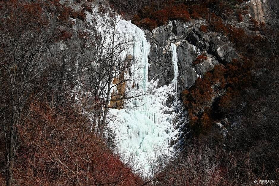 비와야폭포 여행 추천 - 로드트립