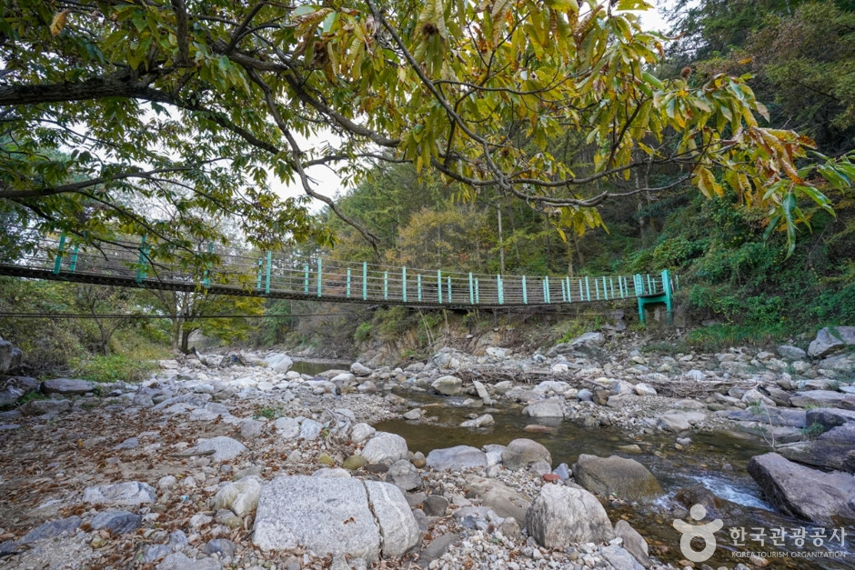 예천 출렁다리마을 여행 추천 - 로드트립