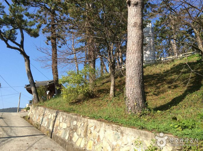 보은산 여행 추천 - 로드트립