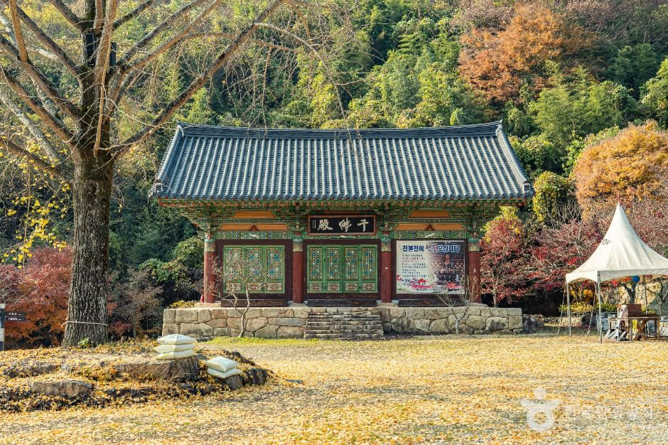 개천사 여행 추천 - 로드트립