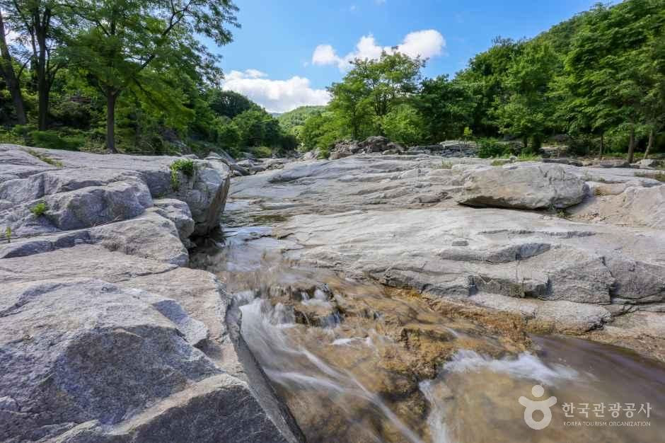 동산계곡 여행 추천 - 로드트립