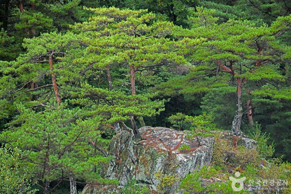 팔석정 여행 추천 - 로드트립