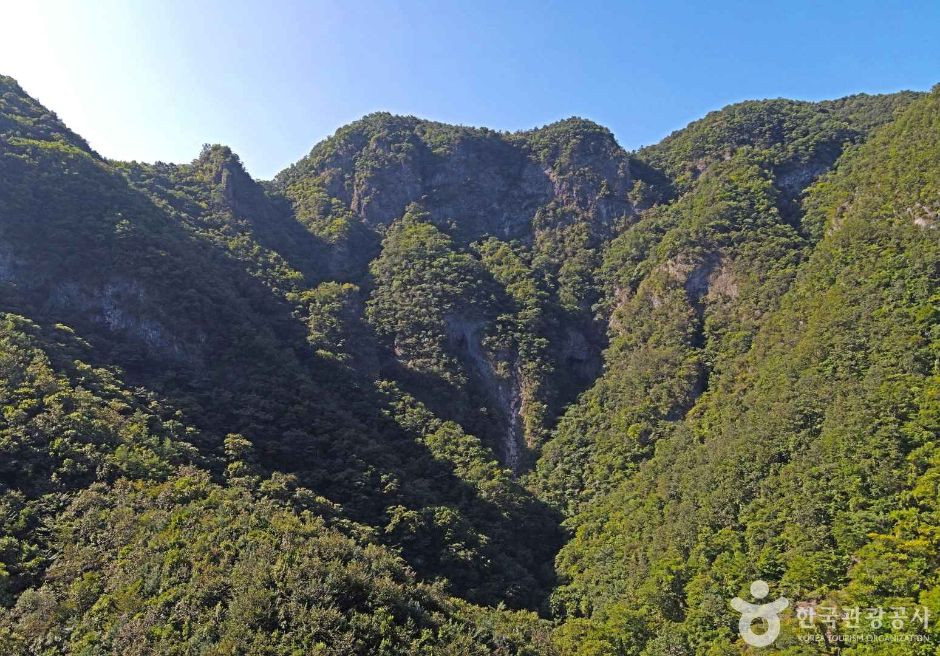기화리 코끼리바위 여행 추천 - 로드트립