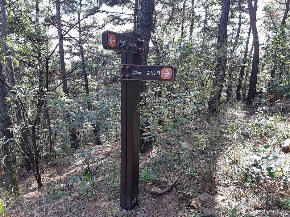 마천산산림욕장 여행 추천 - 로드트립