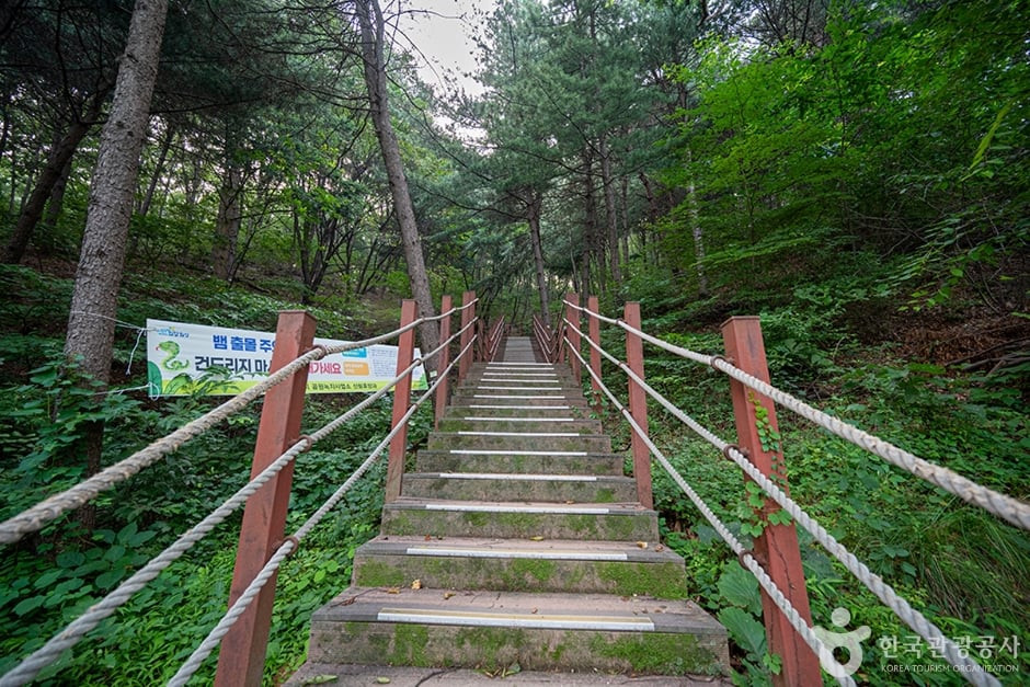 무봉산 여행 추천 - 로드트립