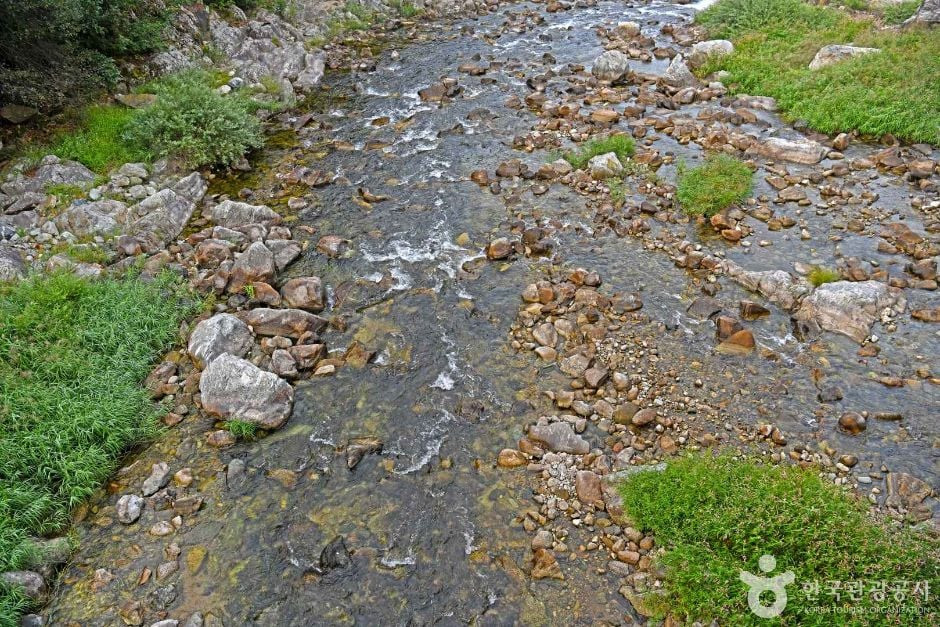 추대계곡 여행 추천 - 로드트립