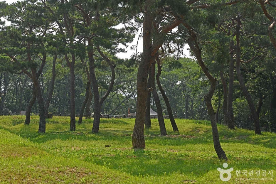 군창지 여행 추천 - 로드트립