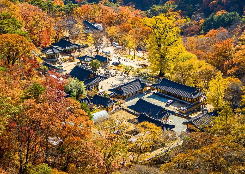 양평 용문사 은행나무 여행 추천 - 로드트립