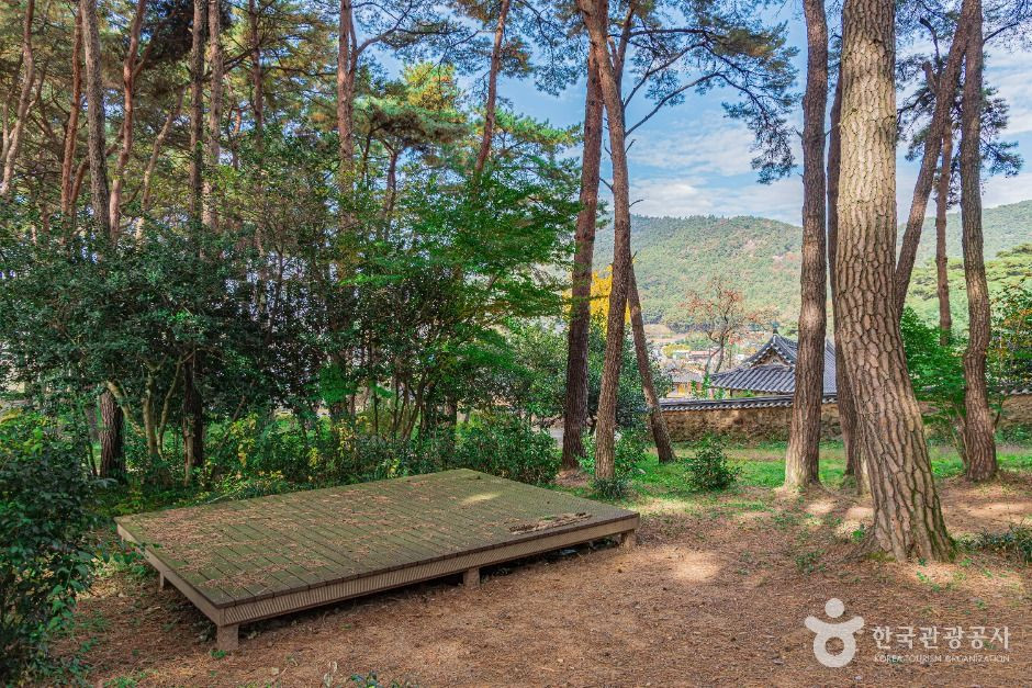 제봉산 마법의 숲 체험원 여행 추천 - 로드트립