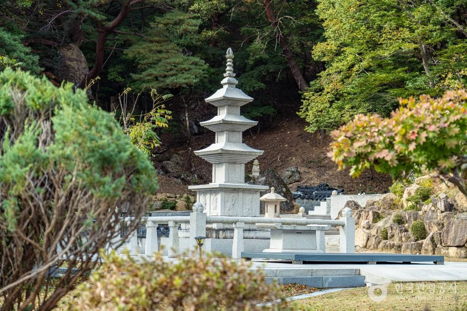 탈골암(충북) 여행 추천 - 로드트립
