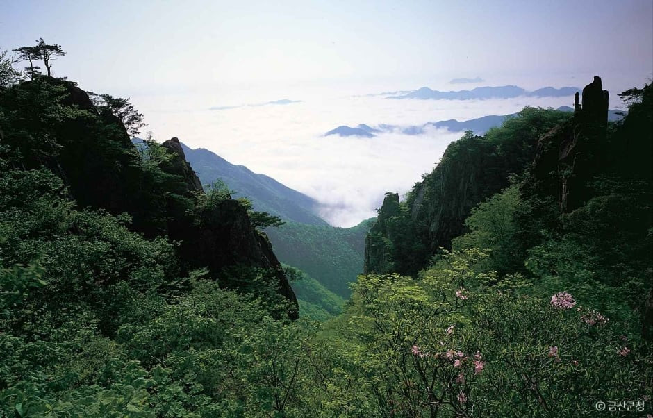 대둔산도립공원(금산) 여행 추천 - 로드트립