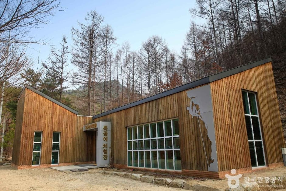 국립 용화산자연휴양림 여행 추천 - 로드트립