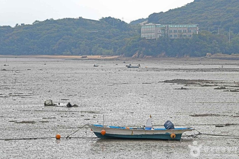 큰무리선착장 여행 추천 - 로드트립