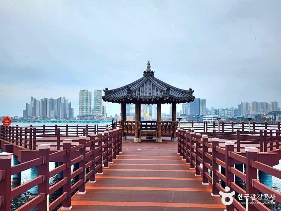 청초호 호수공원 여행 추천 - 로드트립