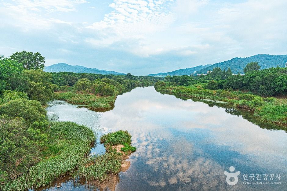 황룡친수공원 여행 추천 - 로드트립