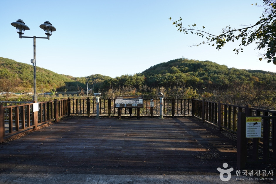 진주 유수리 백악기 하성퇴적층 여행 추천 - 로드트립