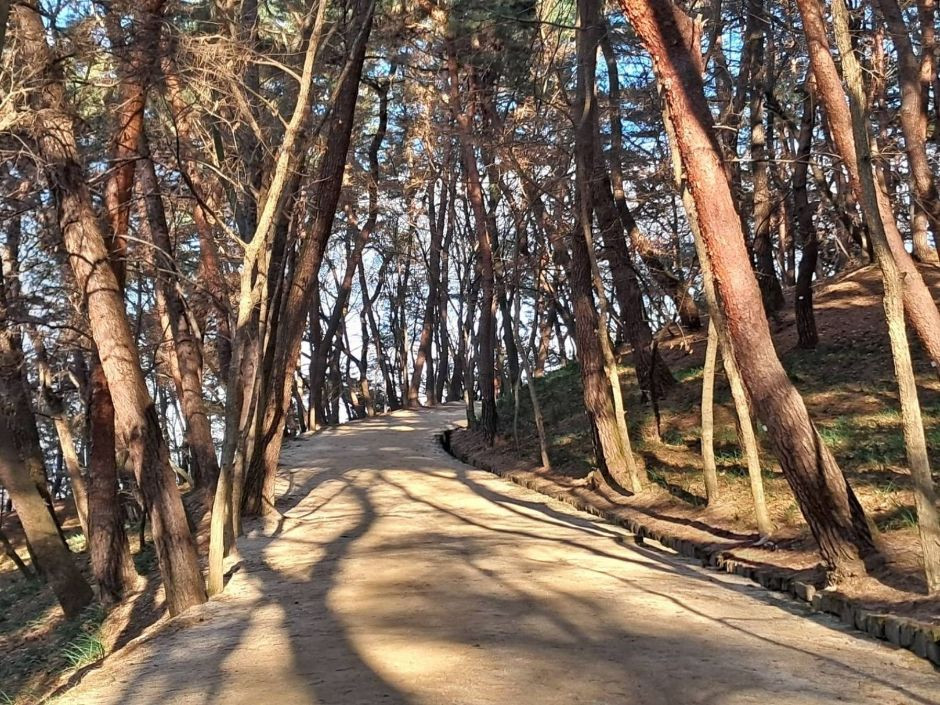 부소산 여행 추천 - 로드트립