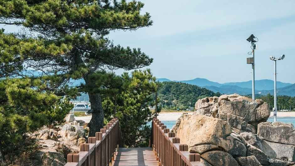 능파대 (강원평화지역 국가지질공원) 여행 추천 - 로드트립