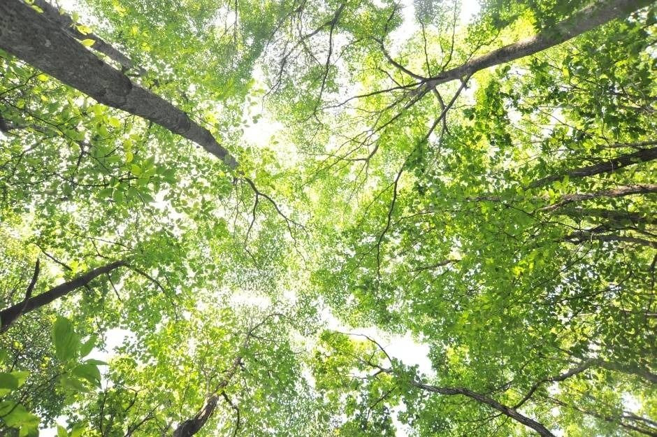 용화산 (강원평화지역 국가지질공원) 여행 추천 - 로드트립