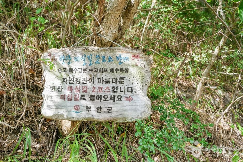 송포항 여행 추천 - 로드트립