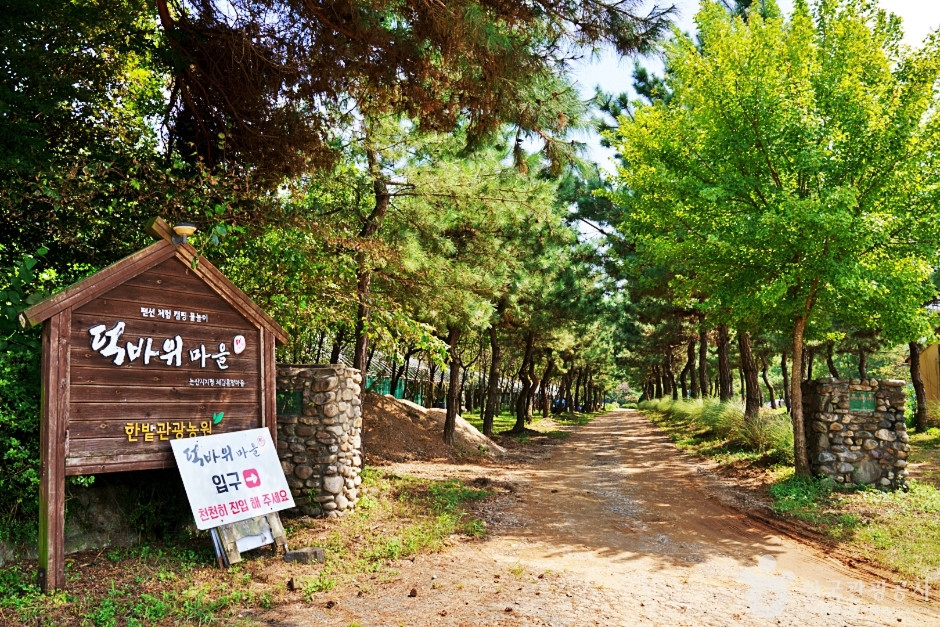 덕바위농촌체험휴양마을 여행 추천 - 로드트립
