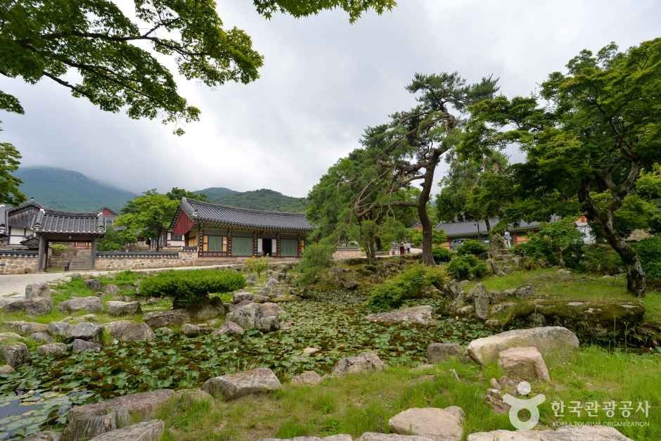 대흥사(해남) 여행 추천 - 로드트립