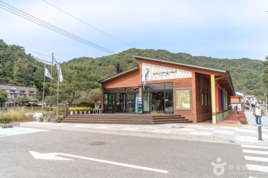 공작산생태숲 여행 추천 - 로드트립