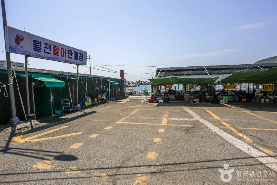 월전포구(월전방파제) 여행 추천 - 로드트립