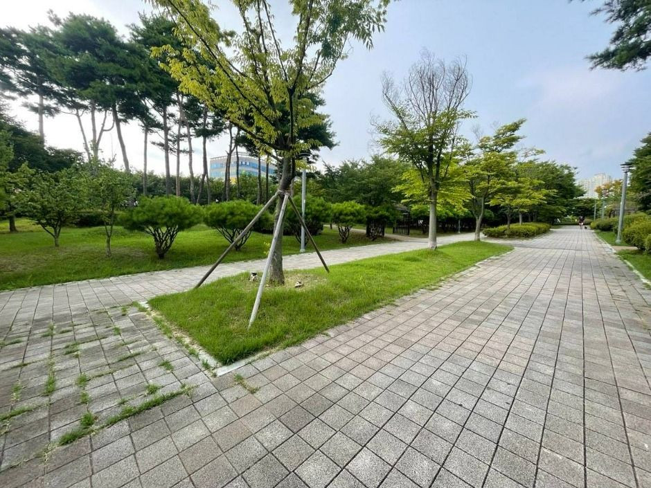새암공원 여행 추천 - 로드트립