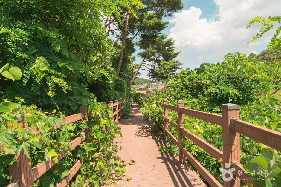 두현저수지 여행 추천 - 로드트립