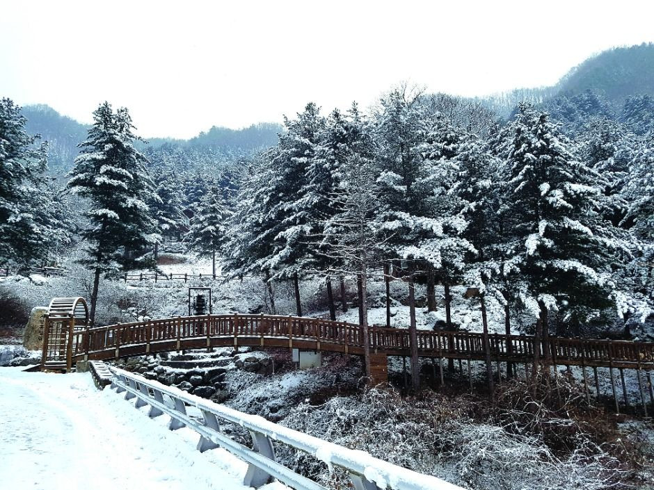 칼봉산자연휴양림 여행 추천 - 로드트립