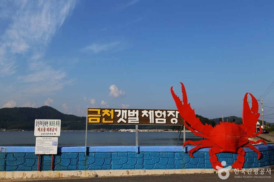 남해금천갯벌체험장 여행 추천 - 로드트립