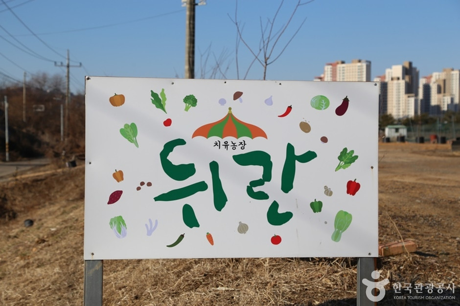 치유농장 뒤란 여행 추천 - 로드트립