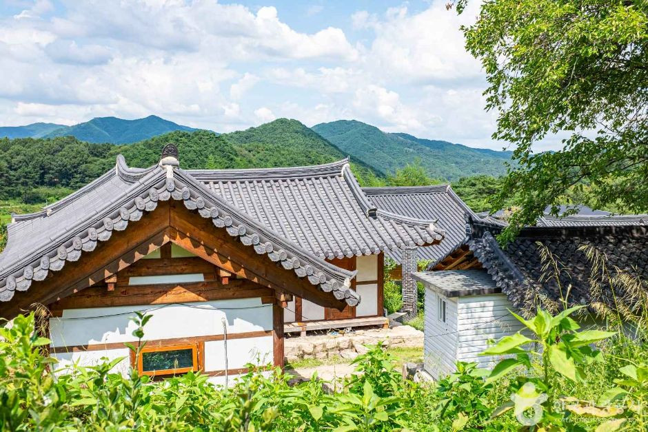 자비선사 여행 추천 - 로드트립