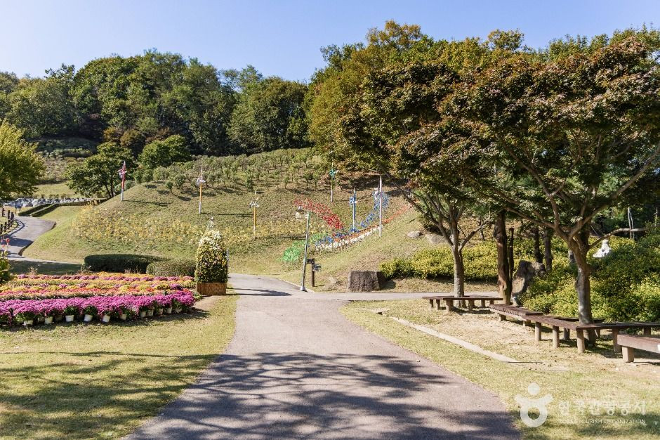 용인농촌테마파크 여행 추천 - 로드트립