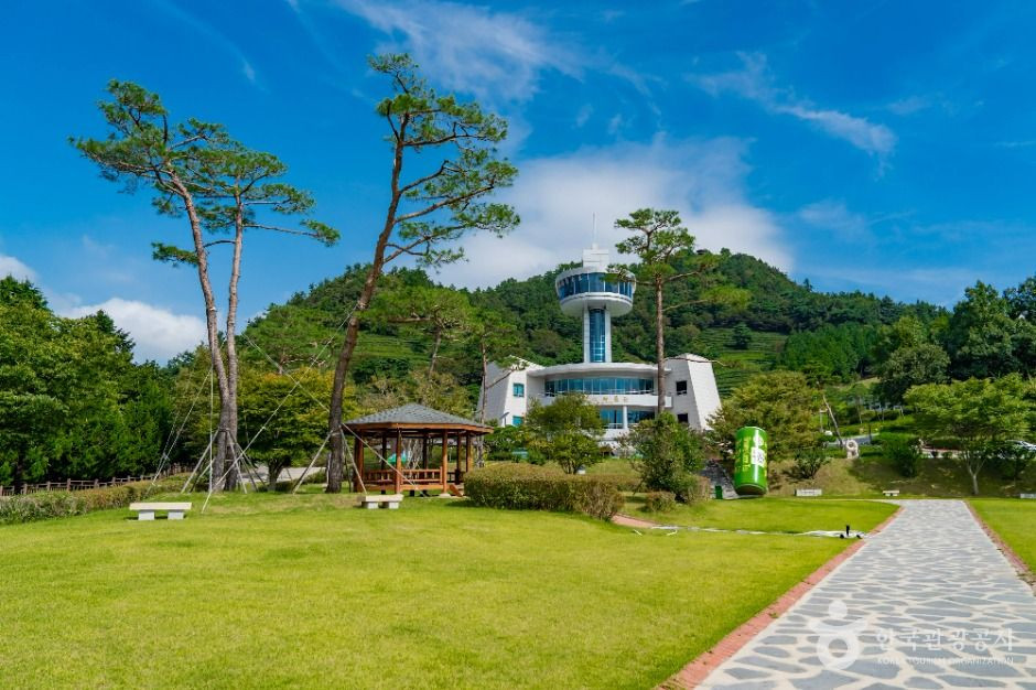 한국차문화공원 여행 추천 - 로드트립