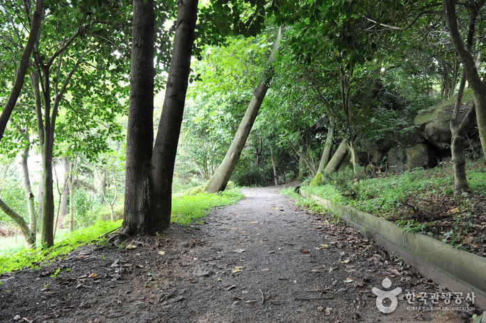 유달산 달성공원 여행 추천 - 로드트립
